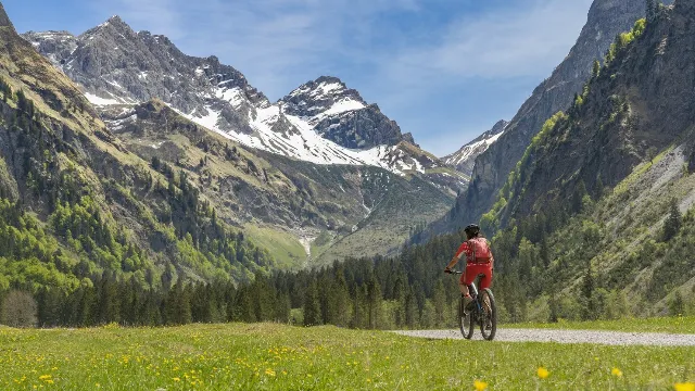 Die besten Radwege in Österreich